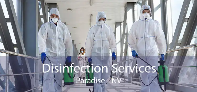 Disinfection Services Paradise - NV