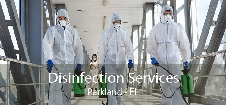 Disinfection Services Parkland - FL