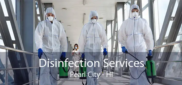 Disinfection Services Pearl City - HI