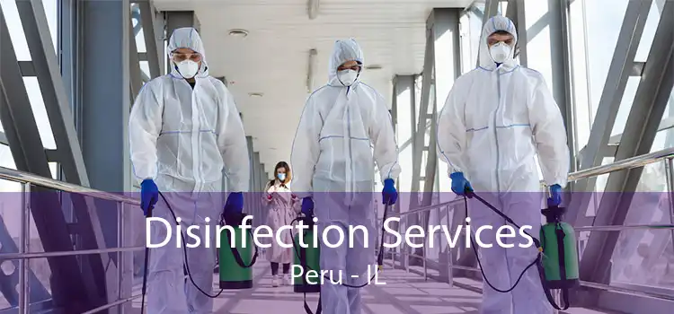 Disinfection Services Peru - IL