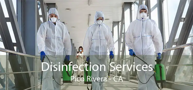 Disinfection Services Pico Rivera - CA
