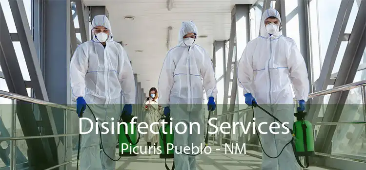 Disinfection Services Picuris Pueblo - NM