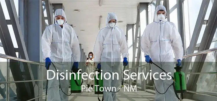 Disinfection Services Pie Town - NM