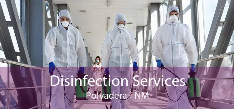 Disinfection Services Polvadera - NM