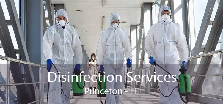 Disinfection Services Princeton - FL