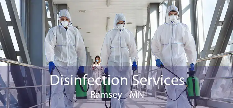 Disinfection Services Ramsey - MN