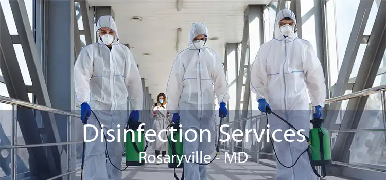 Disinfection Services Rosaryville - MD