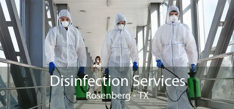 Disinfection Services Rosenberg - TX