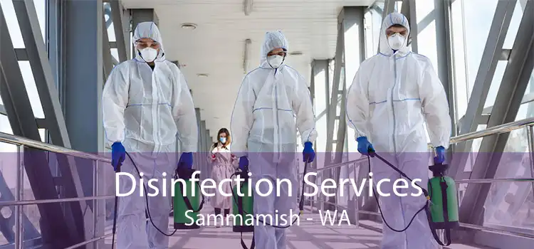 Disinfection Services Sammamish - WA