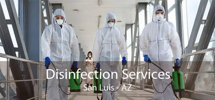 Disinfection Services San Luis - AZ