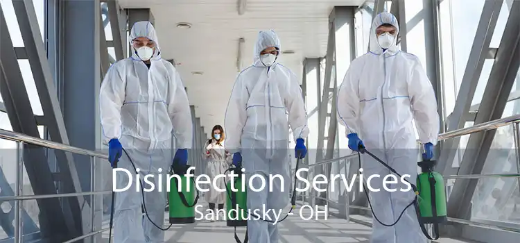Disinfection Services Sandusky - OH