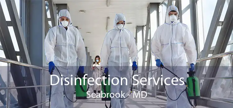 Disinfection Services Seabrook - MD