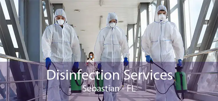 Disinfection Services Sebastian - FL