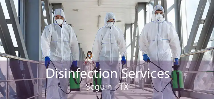 Disinfection Services Seguin - TX