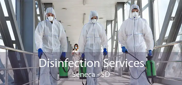 Disinfection Services Seneca - SD