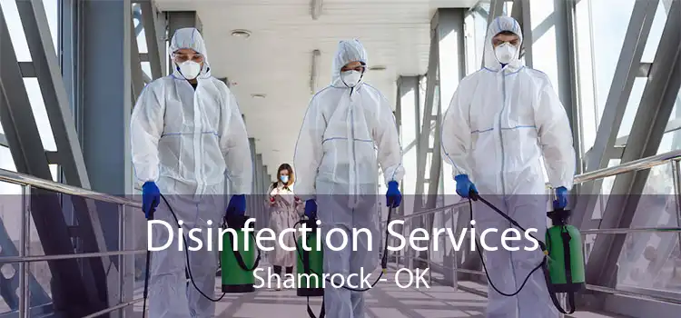Disinfection Services Shamrock - OK