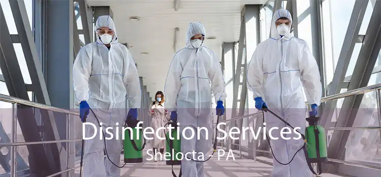 Disinfection Services Shelocta - PA
