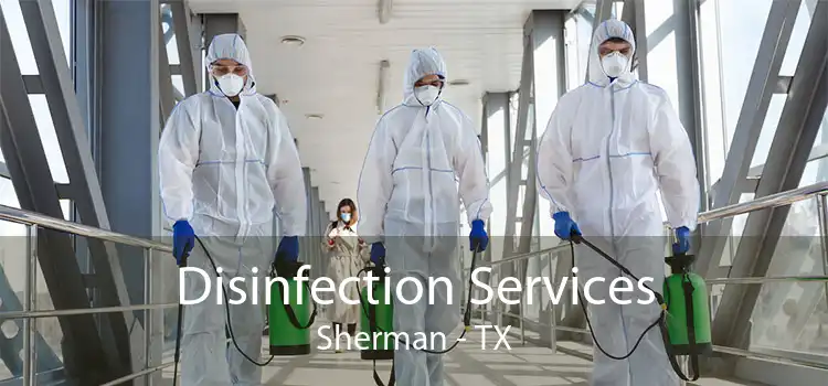 Disinfection Services Sherman - TX