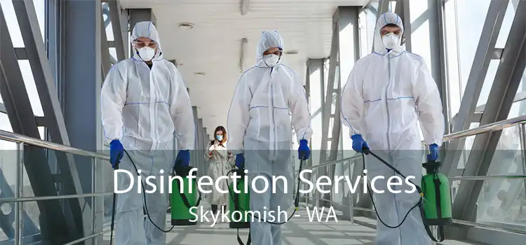 Disinfection Services Skykomish - WA