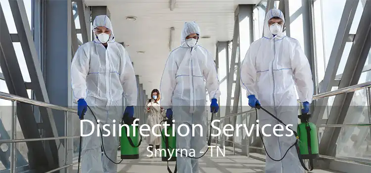 Disinfection Services Smyrna - TN