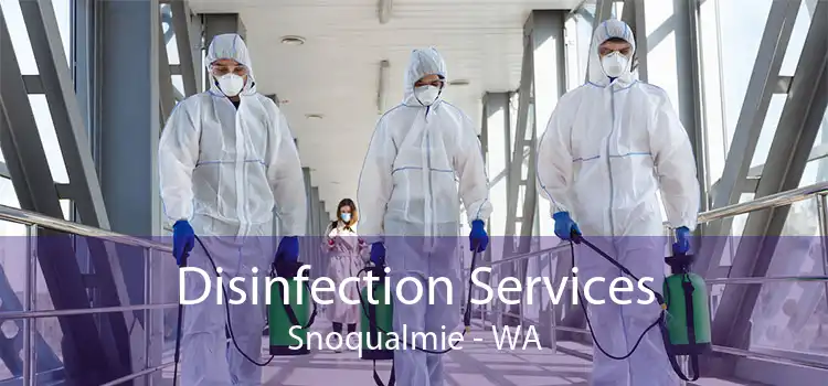 Disinfection Services Snoqualmie - WA
