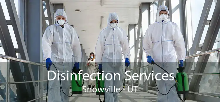 Disinfection Services Snowville - UT