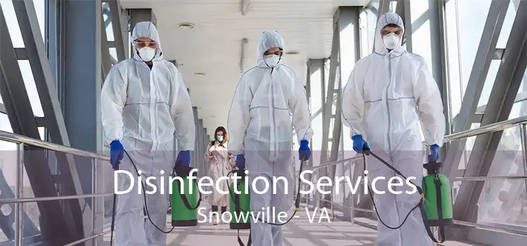 Disinfection Services Snowville - VA
