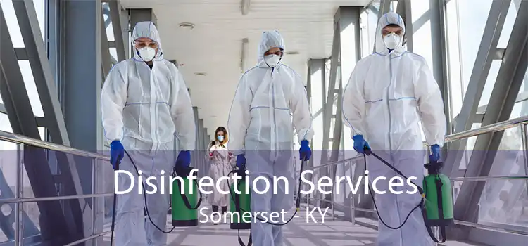 Disinfection Services Somerset - KY