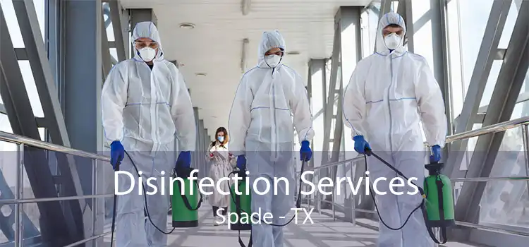 Disinfection Services Spade - TX