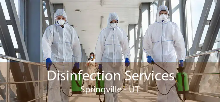 Disinfection Services Springville - UT