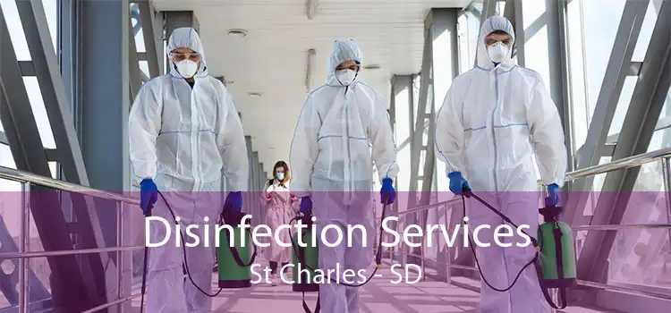 Disinfection Services St Charles - SD