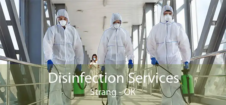 Disinfection Services Strang - OK
