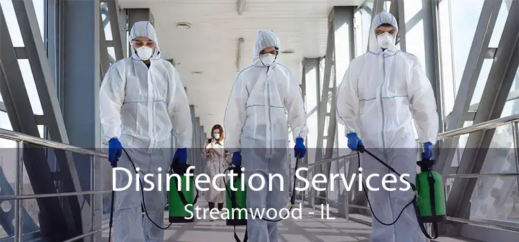 Disinfection Services Streamwood - IL