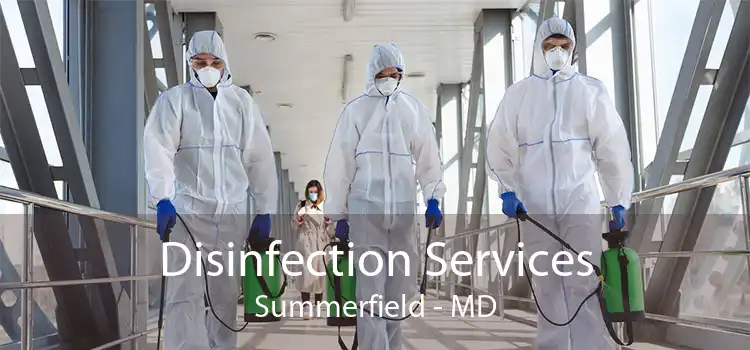 Disinfection Services Summerfield - MD