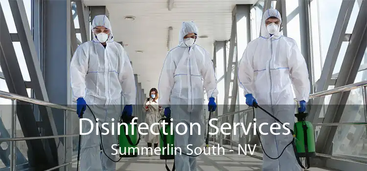 Disinfection Services Summerlin South - NV