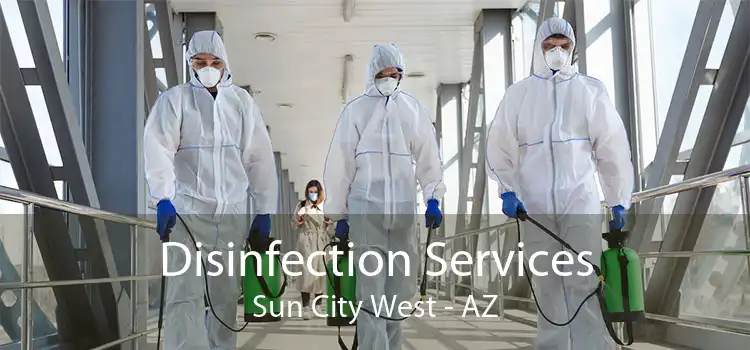 Disinfection Services Sun City West - AZ