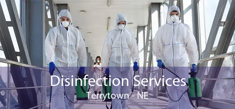 Disinfection Services Terrytown - NE