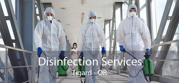 Disinfection Services Tigard - OR