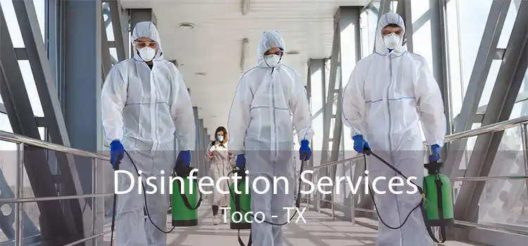 Disinfection Services Toco - TX