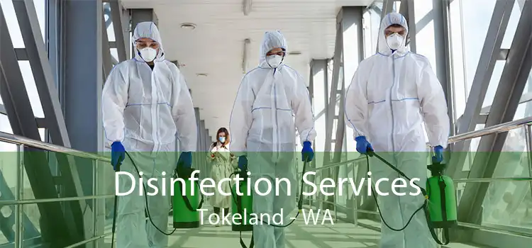 Disinfection Services Tokeland - WA