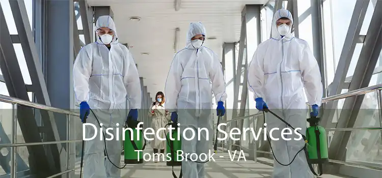 Disinfection Services Toms Brook - VA