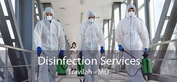 Disinfection Services Travilah - MD