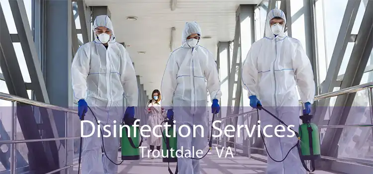 Disinfection Services Troutdale - VA