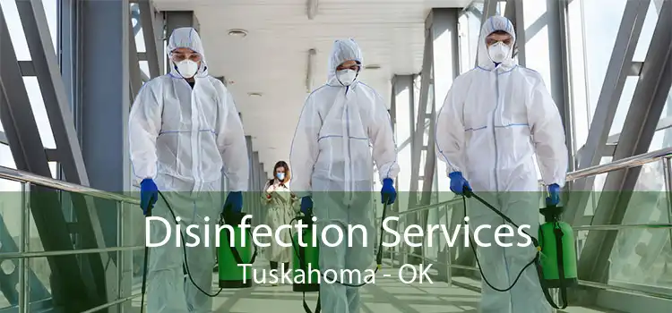 Disinfection Services Tuskahoma - OK