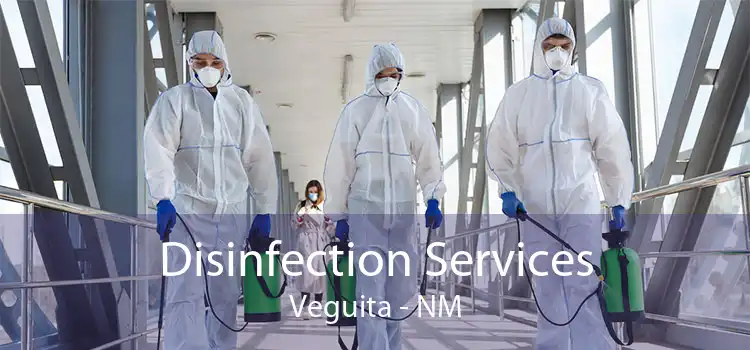 Disinfection Services Veguita - NM