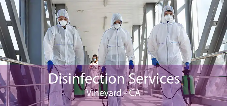 Disinfection Services Vineyard - CA