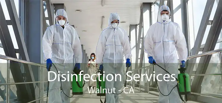 Disinfection Services Walnut - CA
