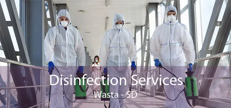 Disinfection Services Wasta - SD