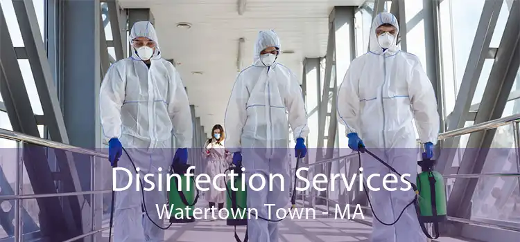 Disinfection Services Watertown Town - MA