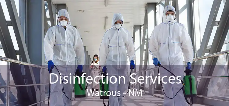 Disinfection Services Watrous - NM